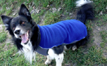 iqo Comfy Fleece Hundepullover (inkl. Reflektoren), marineblau