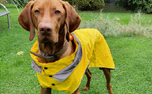 rukka Regenjacke Stream raincoat, gelb